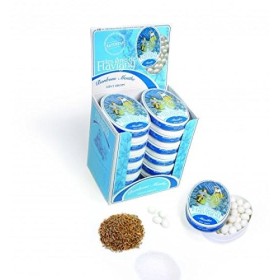 Présentoir de 12 boîtes 50 grammes ANIS DE FLAVIGNY à la menthe