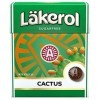 Lakerol Lot de 24 pâtes sans sucre pour cactus