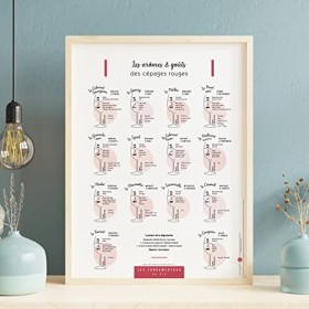 Les cépages du vin arômes et goûts des cépages Blancs & Rouges 30x40