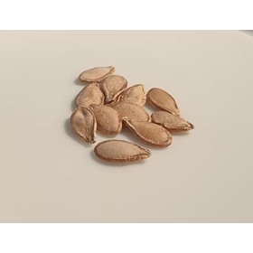 10 graines BIO - COURGE MUSQUEE DE PROVENCE - Curcurbita Maxima - Certifié AB