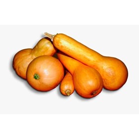 10 graines BIO - COURGE COUREUSE LONGUE DE NICE Certifié AB - Curcurbita Maxima