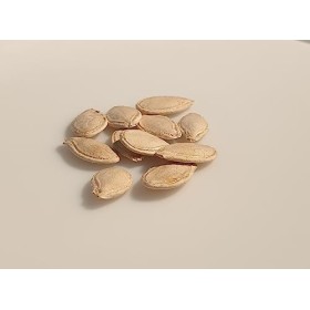 10 graines Bio - COURGE SPAGHETTI Vegetal - Certifié AB - Cucurbita pepo