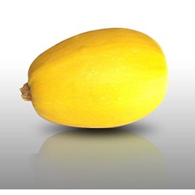 10 Graines - COURGE SPAGHETTI Vegetal - Cucurbita pepo