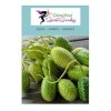 Cucumis anguria- Concombre des Antilles 10 Graines