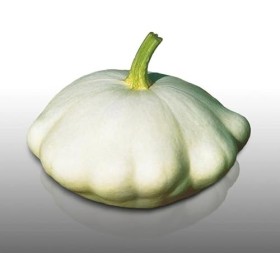 15 graines - COURGE PATISSON BLANC - Curcurbita Pepo