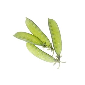 POIS GOURMANDS - CAROUBY DE MAUSSANE - Pisum sativum - 75 grammes