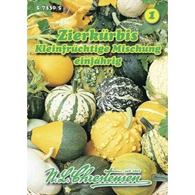 N.L. Chrestensen 573305 Citrouille dornement Mélange de petits fruits graines de citrouille ornementale 