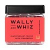 Wally and Whiz - Goupilles gourmandes danoises - Cassie/Fraise - Gommes aux fruits de bonbons - Excellent cadeau - Sans glute