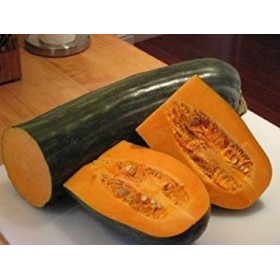 SANHOC Graines emballage: frais Heirloom Italie Lunga di Napoli Naples long citrouille 20 graines courge dhiver Grand