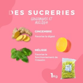 Lemuria - BONBONS ARTISANAUX BIO GINGEMBRE ET MELISSE - Utile pour la digestion, Sans Gluten et Sans Sucre - 1 kg