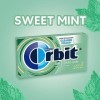 Orbit Sweetmint Sugarfree Gum, 14-Piece Packs Pack of 24 by Orbit [Foods]