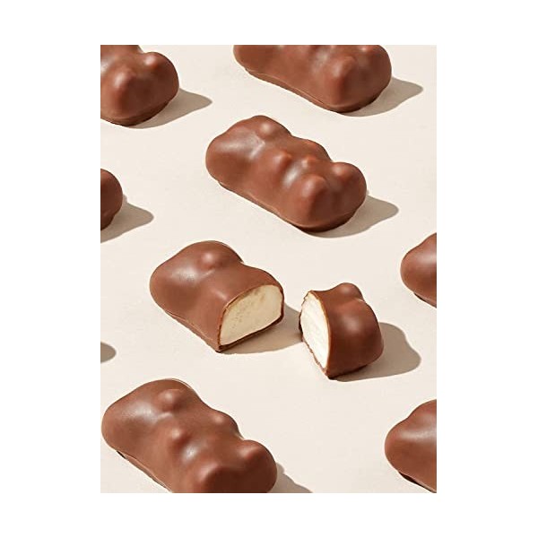 Cémoi - Distributeur L’Authentique Petit Ourson Guimauve, Chocolat au Lait – Fabriqué en France, 80 Pièces 1 kg 