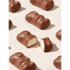 Cémoi - Distributeur L’Authentique Petit Ourson Guimauve, Chocolat au Lait – Fabriqué en France, 80 Pièces 1 kg 