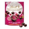 Lindt - Sachet de billes Framboise & Cranberry SENSATION FRUIT - Chocolat Noir, 160g