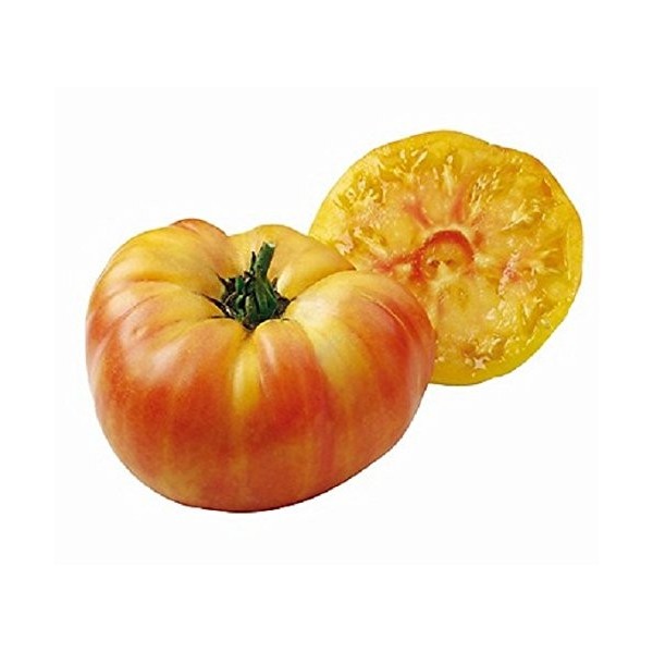 Lot de 10 Graines - Tomates Jaune ananas - gros fruits de 500 grammes variete ancienne fruit legume