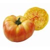 Lot de 10 Graines - Tomates Jaune ananas - gros fruits de 500 grammes variete ancienne fruit legume