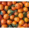 Clémentines Corse IGP vendues en vrac de 1 kg soit environ 12 fruits