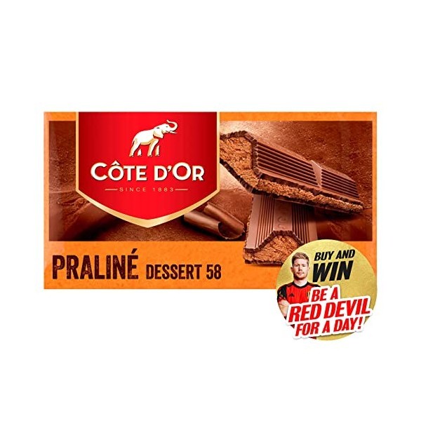 Cote dOr Praline Dessert 58 | 7oz / 200gr | Tablette en chocolat