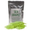Raisins de mer Umibudo - Délicieuses algues vertes au caviar - Raisins de mer déshydratés en saumure Poids net : 50 g, fait 