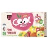 Vitabio Cool - Gourdes Fruits Pomme Framboise 12x90 g - Compote - BIO