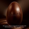 Lindt Œuf Excellence - Œuf unique - Chocolat noir à 70% - 175g