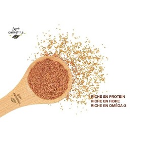 Signé Caméline, Graines de Caméline torréfiées, 250 g, Protéine végétale, Sans OGM, Contient des Fibres, protéines et oméga-3