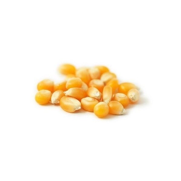 Maïs à pop-corn - 1,5 kg