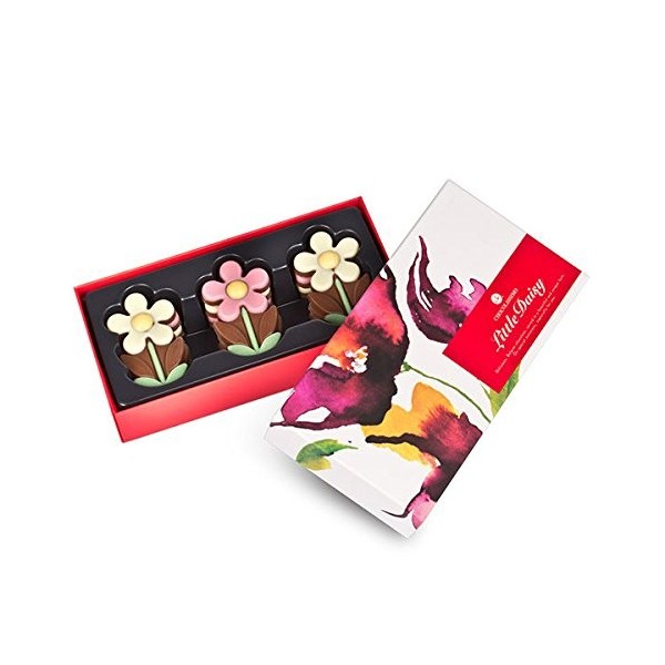 Little Daisy - Marguerites - Fleurs en chocolat | 9 Fleurs en chocolat | Idée cadeau original | Offrir | Femme | Homme | Sain