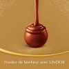 Lindt - Calendrier de lAvent LINDOR - Assortiment de Chocolats au Lait et Noirs - Cœur Fondant - Idéal pour Noël, 300 g
