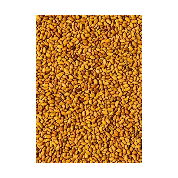 KoRo - Graines germées de luzerne/alfafa 1 kg