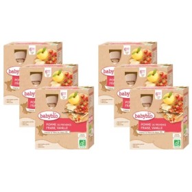 Babybio Gourde Pomme de Provence Fraise Vanille - BIO - 4 x 90g - Lot de 6