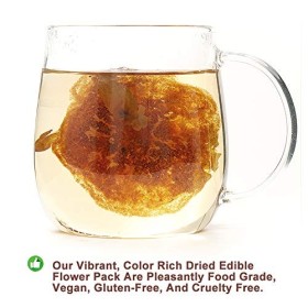 Plant Gift Malva Nut, Dried Sterculia Lychnophora Tea, Lychnophora hypotensive, Pangdahai séché Semem Sterculiae Scaphigera