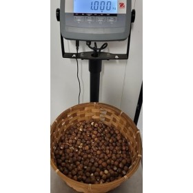 Noisettes décortiquées - Vendues au kilo - Origine France