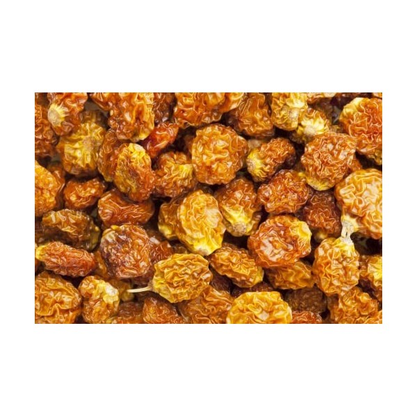 Physalis séchés 1 Kg | baies des Incas crues | fruits secs dorigine 100% naturelle | Entières et déshydratées | Sans sel | S