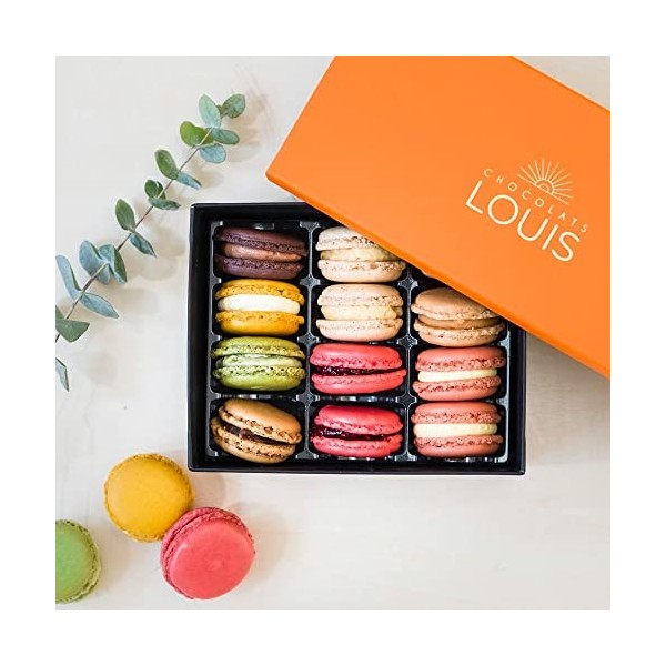 CHOCOLATS LOUIS - Maîtres Chocolatiers - Coffret de 12 Macarons à Offrir - 8 saveurs - 192g - Fabrication Française et Artisa