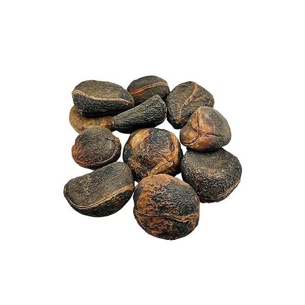 Noix de Kola Entières Séchées 85g - 1,95Kg Qualité Supérieure Cola Acuminata 460 grammes 