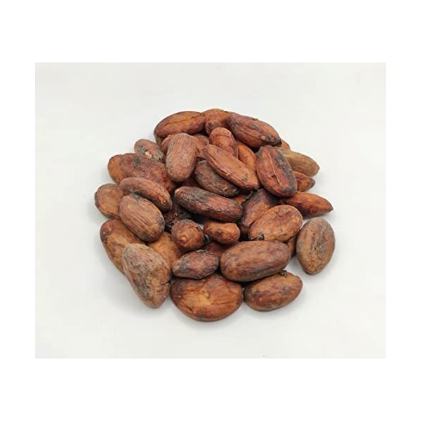 Fèves de Cacao Crues 85g - 1.95Kg Theobroma Cacao 460 grammes 
