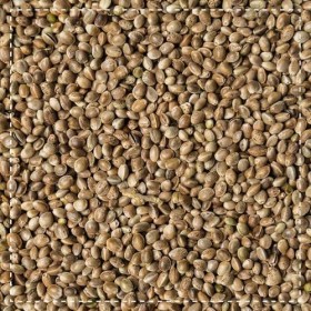 Graines de chanvre non décortiquées Bio 2kg 2x1kg - Pack avantage - Sans gluten, sans soja et sans lactose - Conditionné en