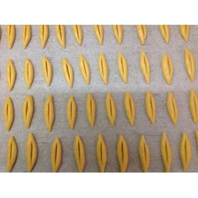 1 KG DE NAVETTES PROVENCALE A LA FLEUR DORANGER. Fabrication artisanale