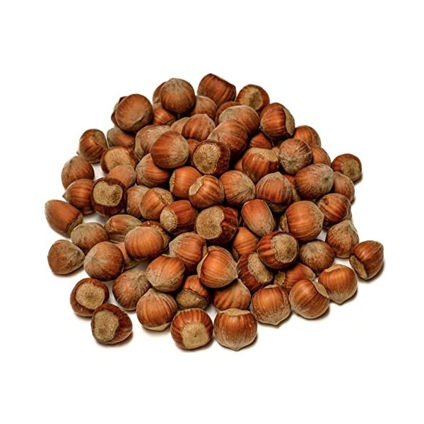 IGART Noisettes en Coque 3kg | Hazelnuts | Naturel | Délicieux | Qualité Supérieure | Récolte 2023 | Délicieuses Noisettes Mû