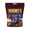 HERSHE Delicious Exotic Dark Chocolate Blueberry & Acai, 100g Pack of 2 