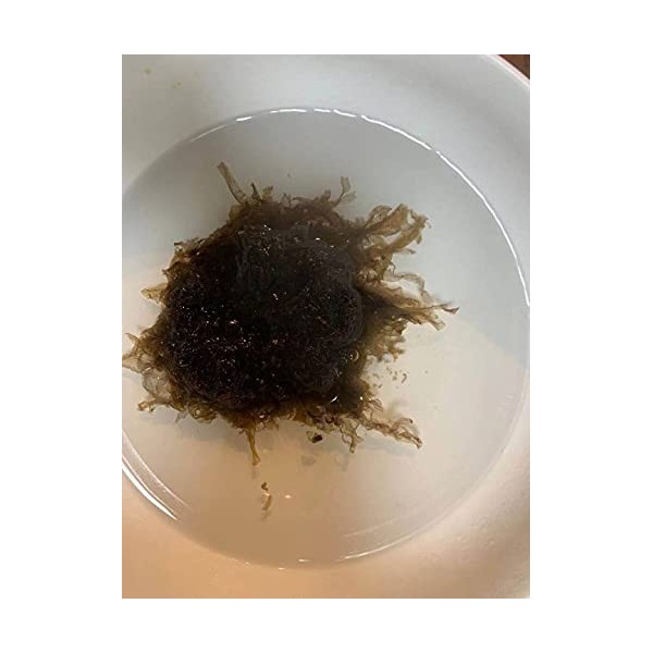 Lave-légumes de mer séchés compressés 20 pièces, 200 g 