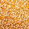 Popcorn vrac 5kg - grains de maïs à éclater - Grain POP