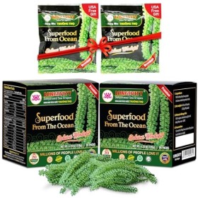 Longevity Raisins de mer - Caviar vert dUmibudo - Déshydraté, améliore la santé, la perte de poids, stimule le système immun