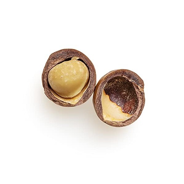 1kg de noix de macadamia BIO naturelles – noix de macadamia entières décortiquées, de classe 1L, crues et non traitées
