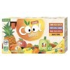 Vitabio Cool Fruits Multiparfums 4 recettes - BIO - 12x90g - Lot de 4
