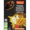 Vitabio Gourde Pomme Mangue Acérola 480 g - Lot de 3