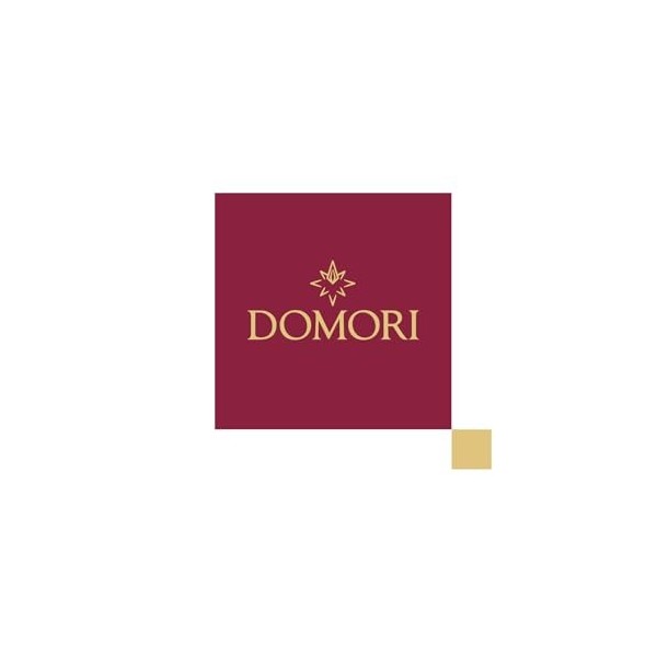 Domori® | Quantum Noisettes Chocolat Lait aux Noisettes Piémont IGP | Noisettes & Délicat Chocolat au Lait Maxi Tablette - 50
