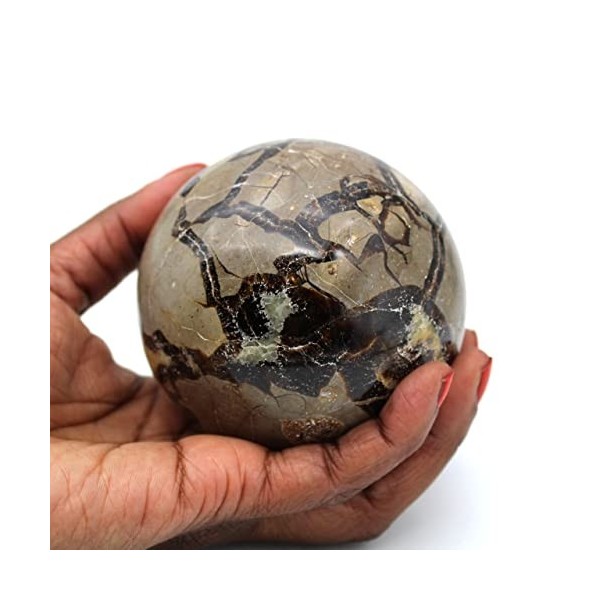 Générique Sphère en Septaria 780gr 810mm de Madagascar