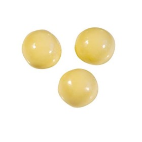 Noisettes Enrobées De Chocolat Blanc - Kg. 3 Papillon